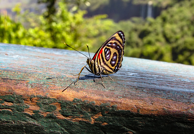 cc17c5bd-2f19-4447-a63c-0ce1128e35a8