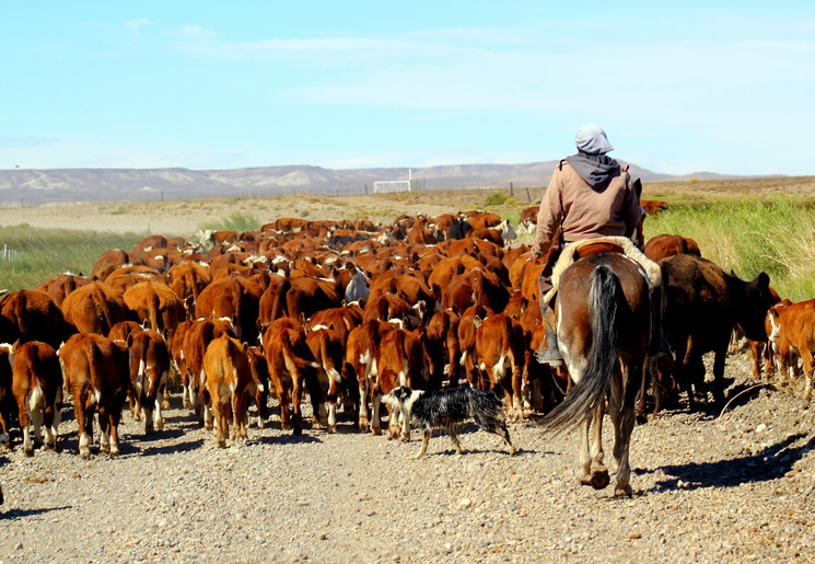 0d65a059-f77e-4a11-a081-762ec450a3d9