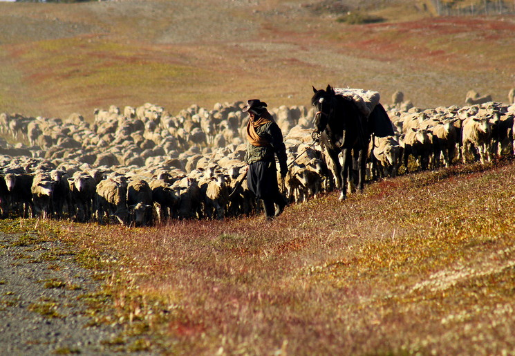 f1838bfa-3a78-48c7-a2c3-2565173c347d