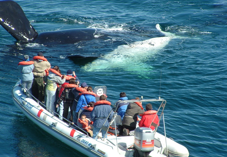 40ea8012-7cd5-4cb2-87c8-9143bb410918