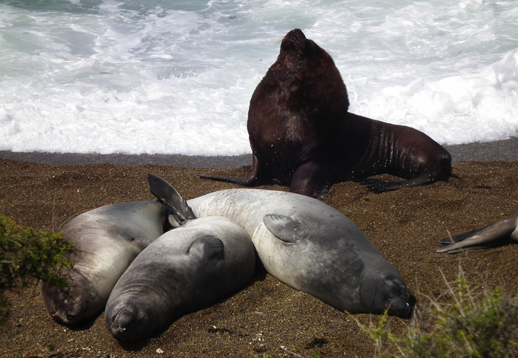 8b1fb02e-14ed-48d8-8e20-576d1721f575