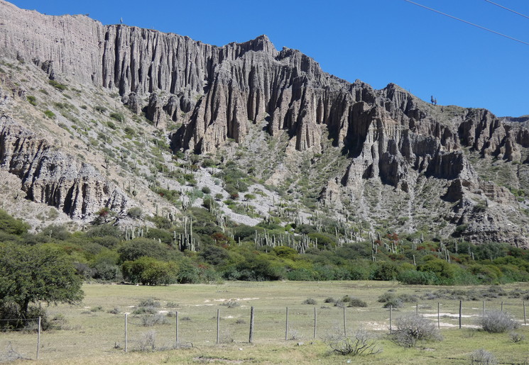 7df01d1d-4353-4ad4-965f-8c267c1300be