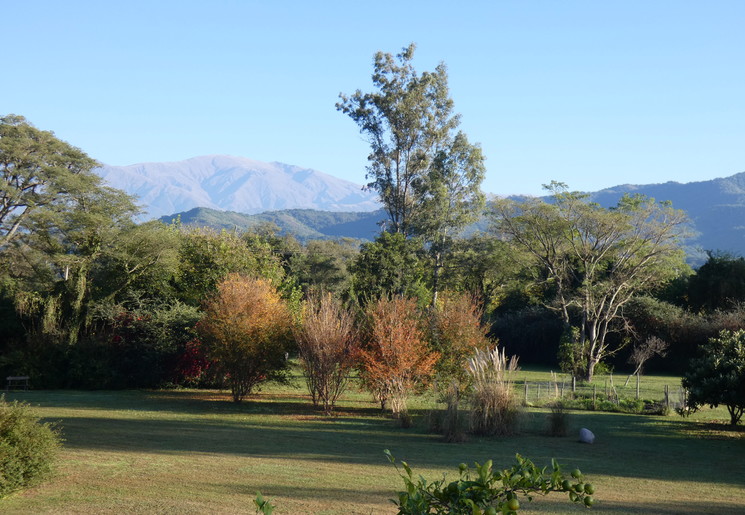 96ba9efc-354c-4d0b-9f81-52fac4afa2c6