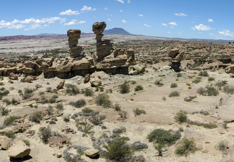 776b5aa6-4577-40df-8325-ac5894ce6011