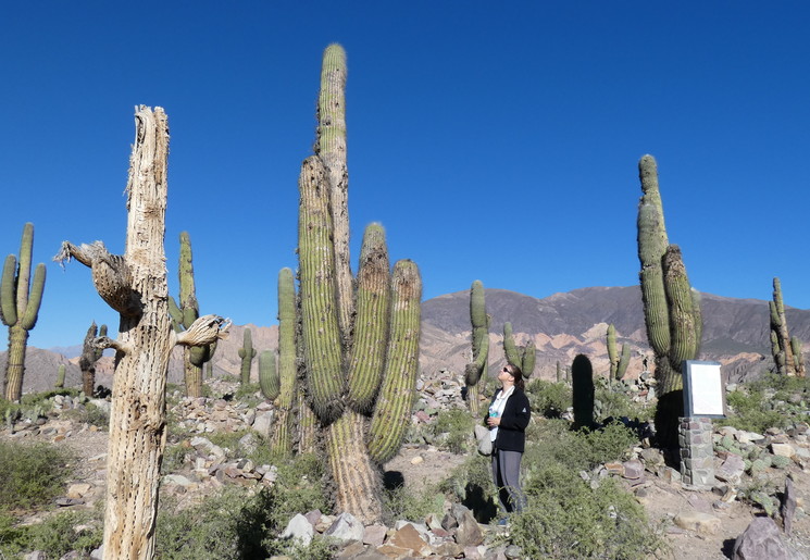 2dd94388-af9e-4574-805c-364062080e83