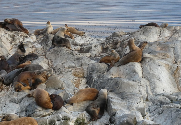 8af3647e-070b-4c55-ba70-e5424e2d400f