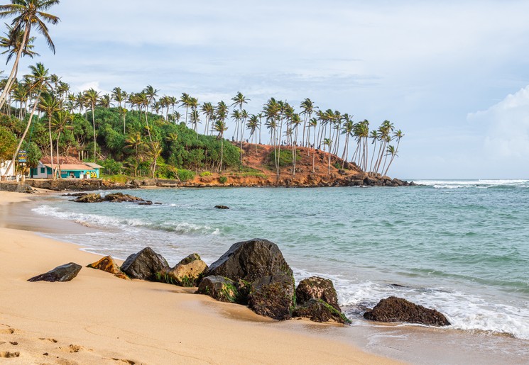 Een strand met rotsen en palmbomen in Arugam Bay