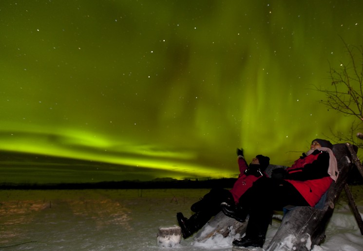 Zie het Noorderlicht in Fairbanks, Alaska