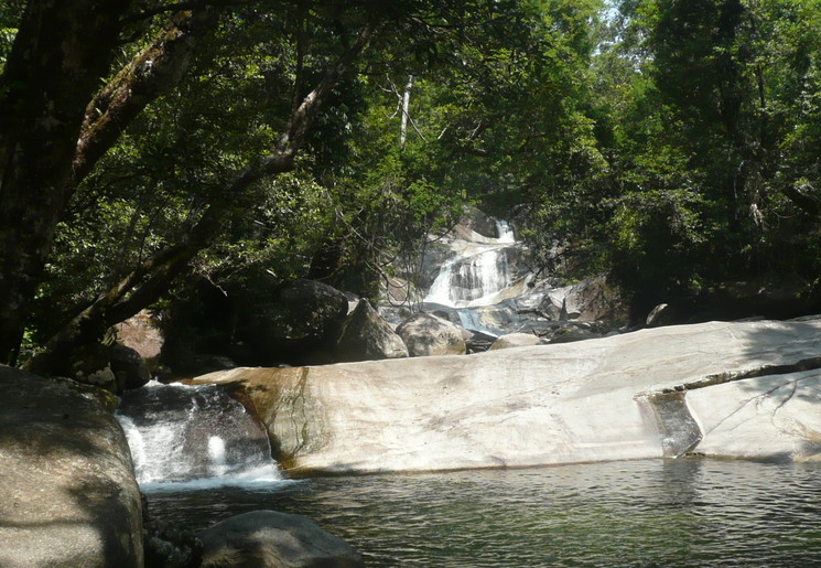 Wandel naar Josephine Falls in Atherton Tablelands, Australië