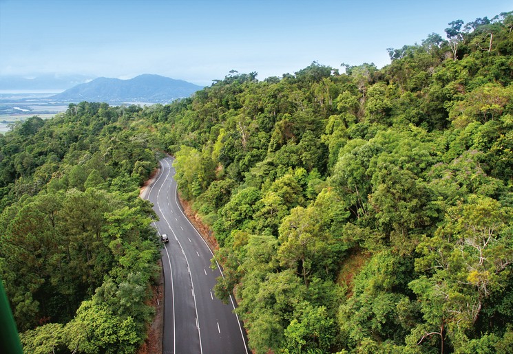 Het tropische regenwoud van Atherton Tablelands, Australië