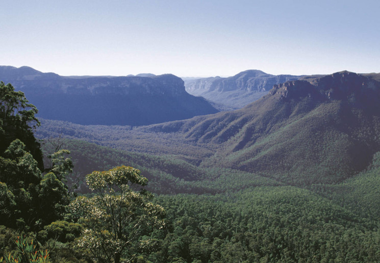 Geniet van het uitzicht op de groene Blue Mountains, Australië