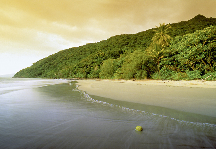 Het zandstrand van Cape Tribulation, Australië