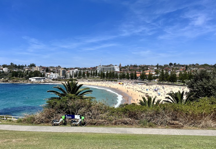 Australië Cooge to bondi walk strand met het blauwe water en palmbomen
