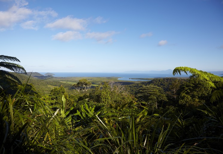 Het uitzicht over het groene Daintree Rainforest