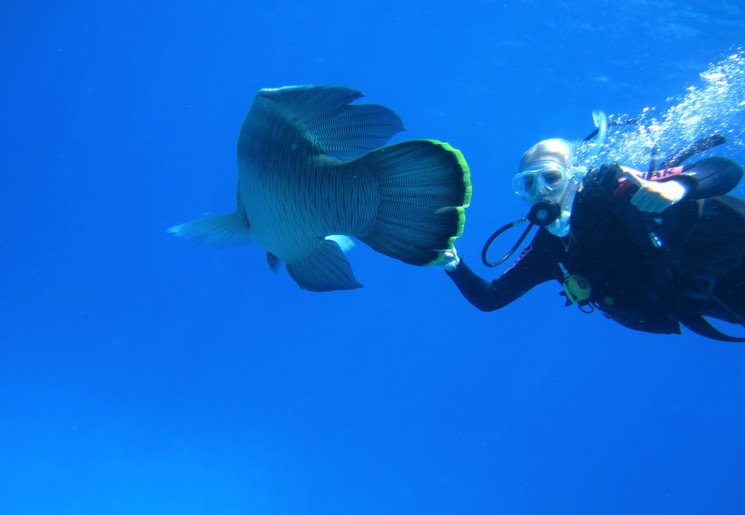 Bucketlist: duiken in het Great Barrier Reef