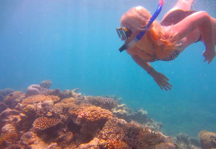 Snorkelen bij de Great Barrier Reef, Australië
