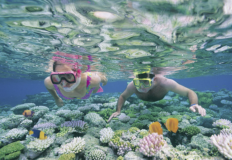 Snorkelen Great Barrier Reef, Australie