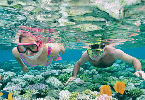 Snorkelen in het Great Barrier Reef, Australië