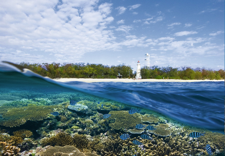 Ontdek de kleurrijke koralen in de omgeving van Lady Elliot Island, Australië