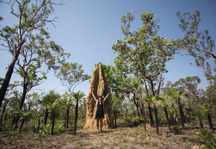 Enorme termietenheuvels in Litchfield National Park, Australië - © Tourism Australia