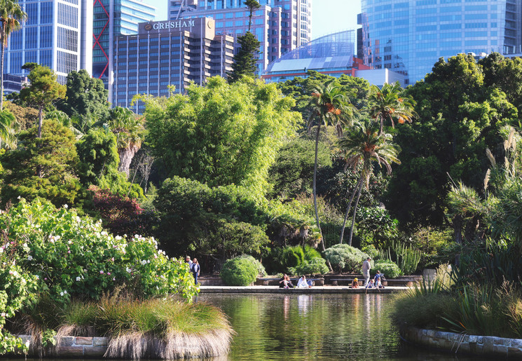 Bezoek de botanische tuinen in Sydney, Australië