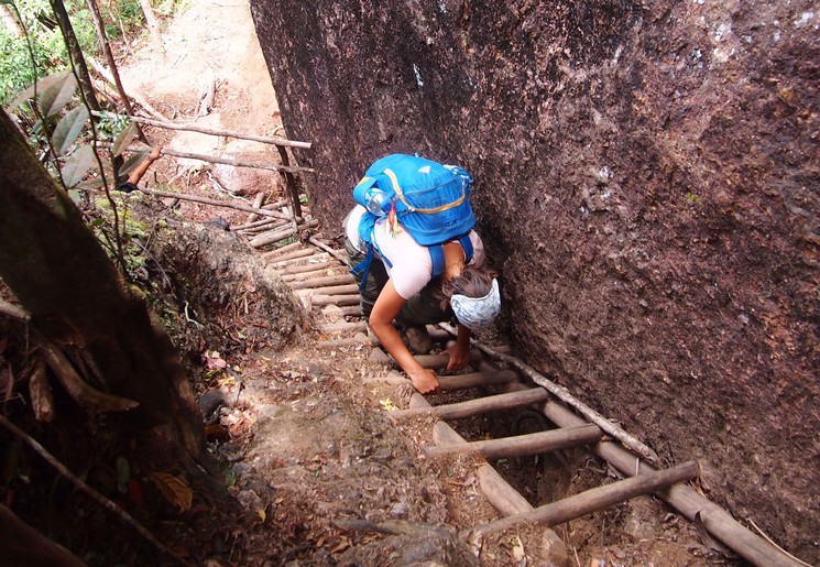 Klauteren door de jungle van de Harauvallei op Sumatra, Indonesië