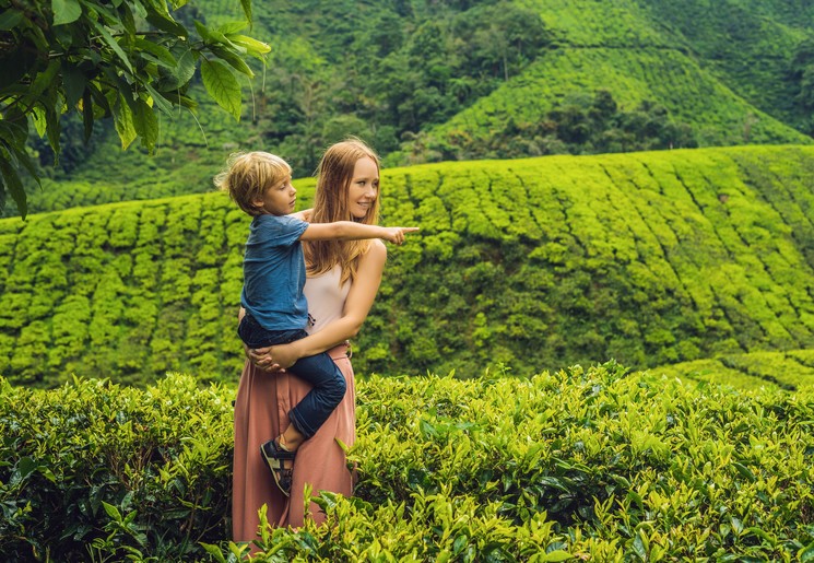 Kinderen tussen de theevelden in de Cameron Highlands in Maleisië