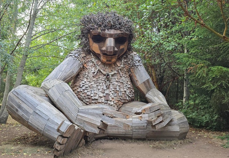 Beelden van aangespoeld hout op Bainbridge Island, USA