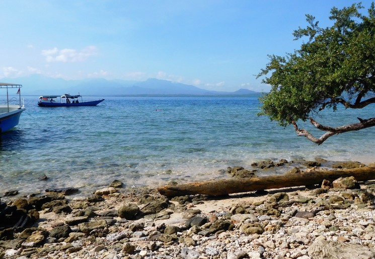 Het eiland Menjangan op Bali