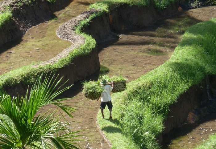 Bali-spelende-kinderen1