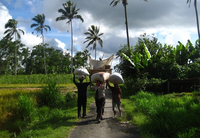 fceaa035-4981-43de-b62d-f71e6bfce48c