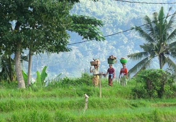 Locals in de rijstvelden in Sidemen op Bali