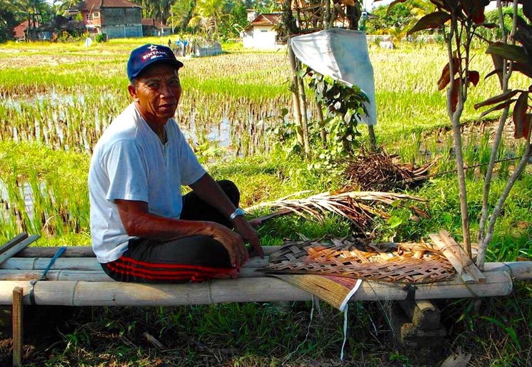 Bali-Ubud-Rijstvelden2