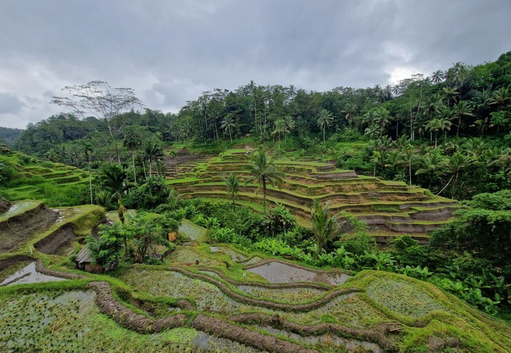 Bali Ubud