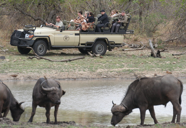 Op safari in privé wildreservaat