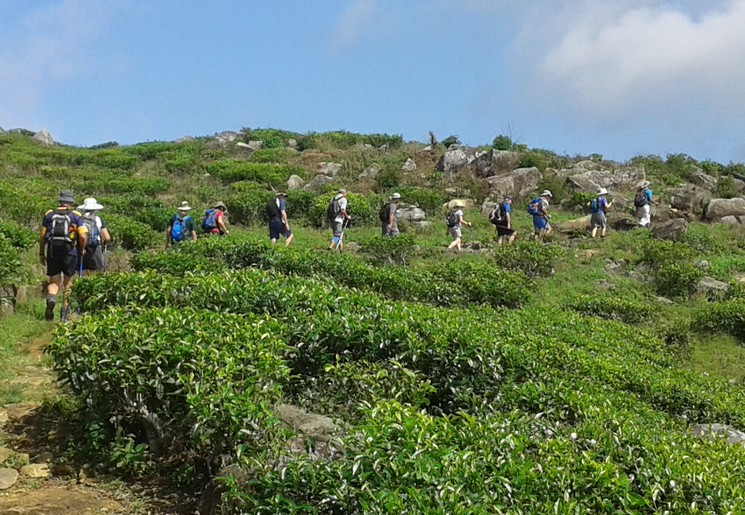 Tussen de theevelden bij Ella, Sri Lanka