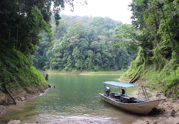 Belum-rainforest-bootje