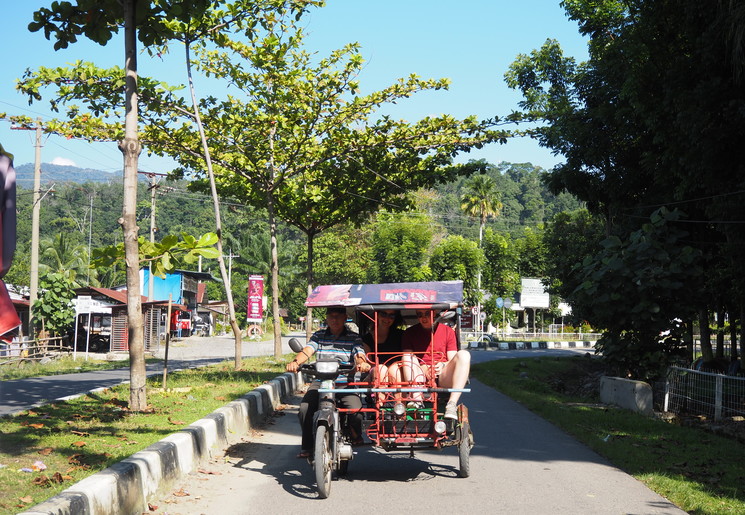 Betjaktoer in Bukit Lawang