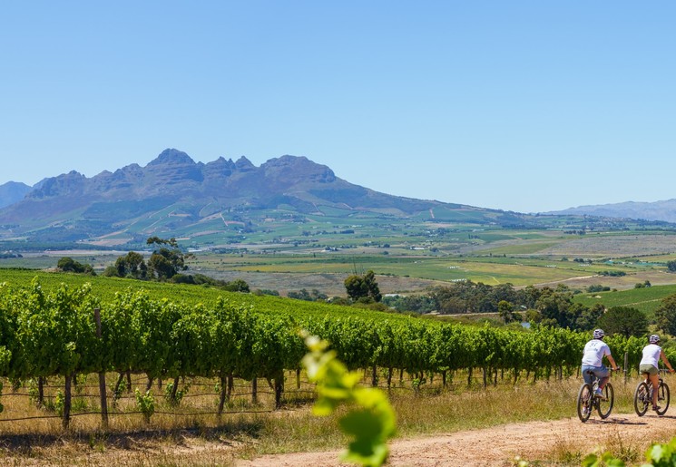 Fiets door de wijnlanden van Stellenbosch Fiets door de wijnlanden van Stellenbosch