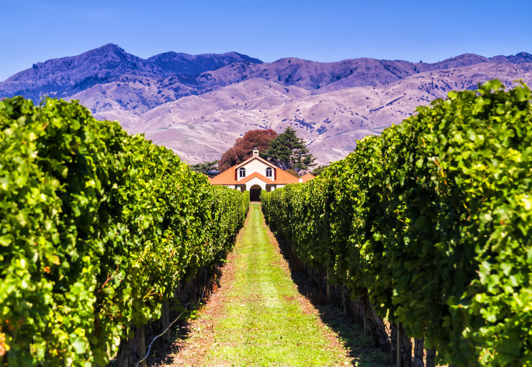 huis tussen de wijnranken bij Blenheim, Nieuw-Zeeland