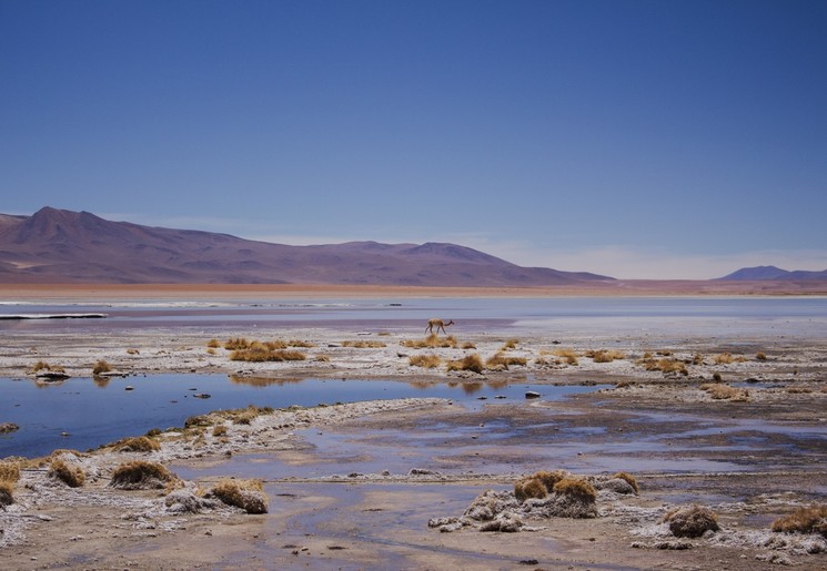 Uitzicht op het Avaroa Andean National Reserve in Bolivia