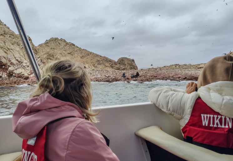 Boottocht bij Paracas, Peru