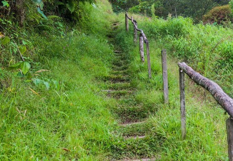 Lost waterfall trail bij Boquete - Panama