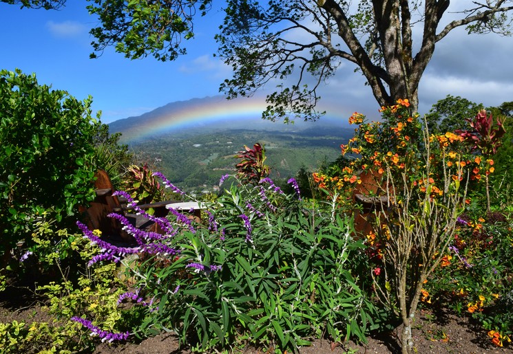Regenboog in Boquete in Panama.