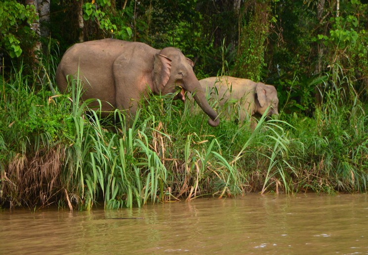 Een en al geluk op Sabah!