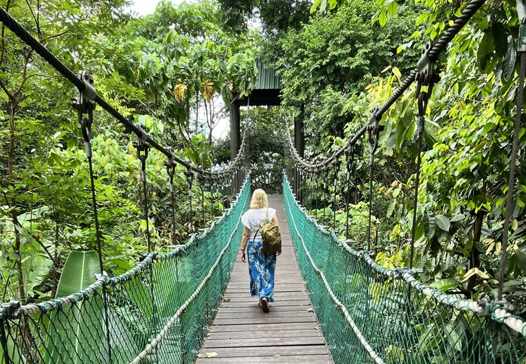 Loop over hangbruggen in Danum Valley NP, Maleisië