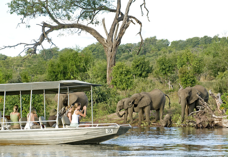 U maakt een spectaculaire bootcruise en spot olifanten, Chobe Nationaal Park, Namibie