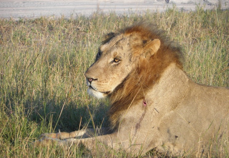 8b46189d-eb81-485f-918d-1ad09ecf529e