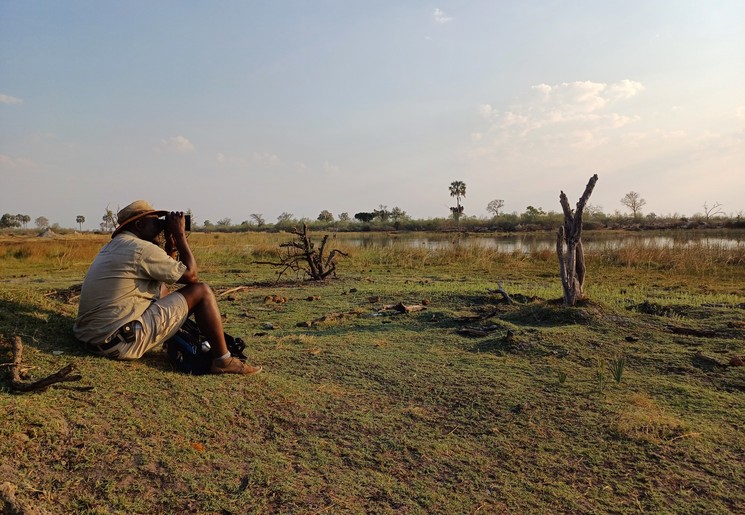 Botswana Okavango Delta