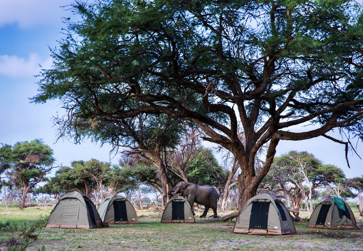 Overnachten in dometenten tijdens een kampeersafari in Botswana